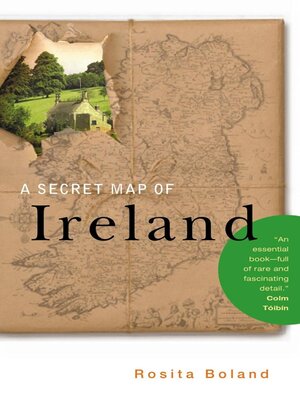cover image of A Secret Map of Ireland